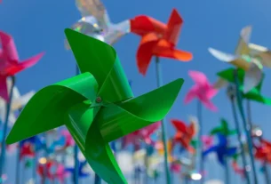 Brinquedos educativos