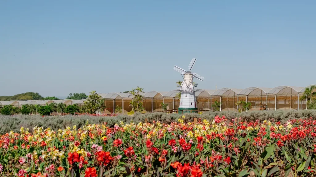 Destinos Próximos pra Relaxar