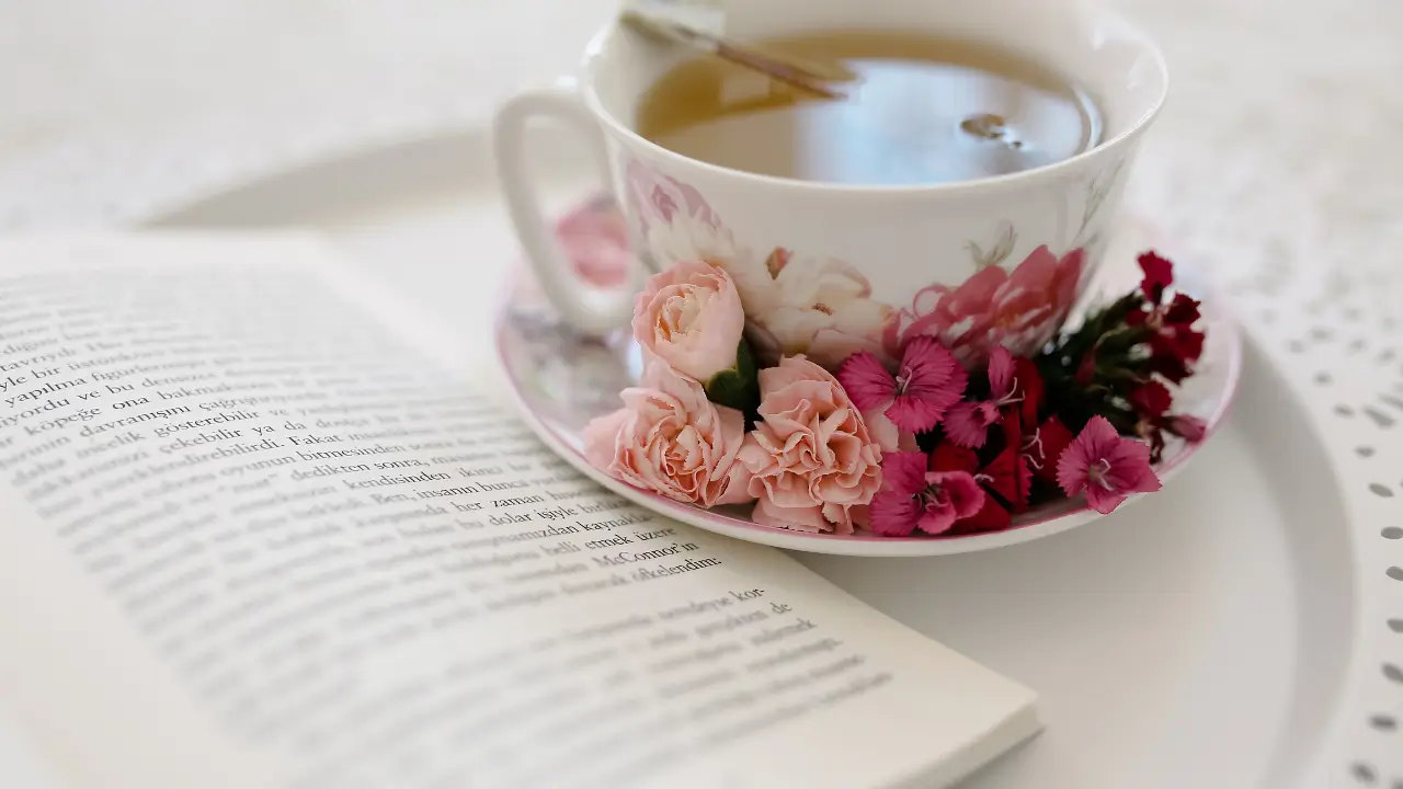 livros para resolver problemas