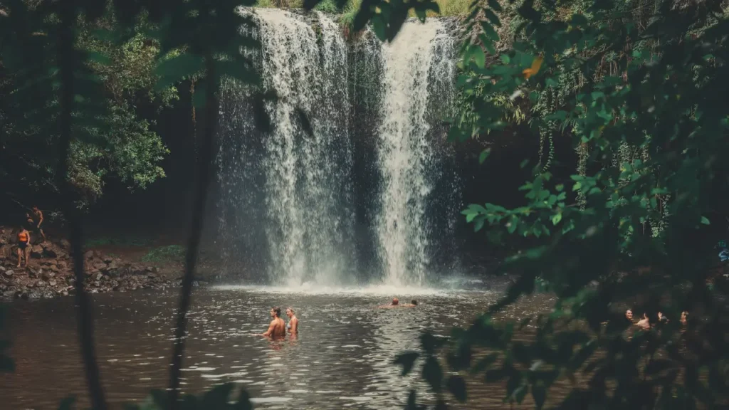 Terapias Alternativas