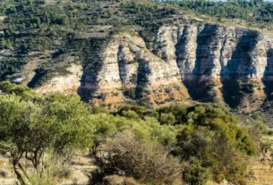 chapada dos veadeiros