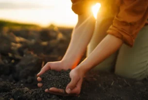 Jardinagem Sustentável