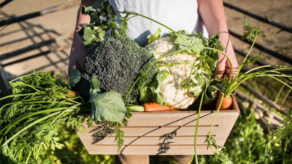 Cidades Brasileiras com Gastronomia Afetiva