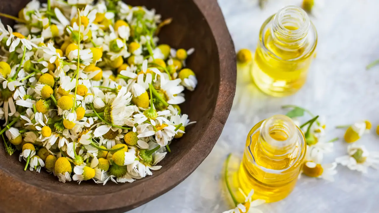 Óleos Essenciais Seguros para Bebês2