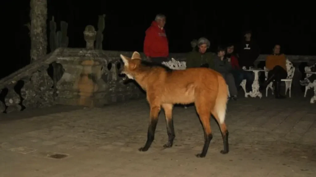 Santuario do caraça