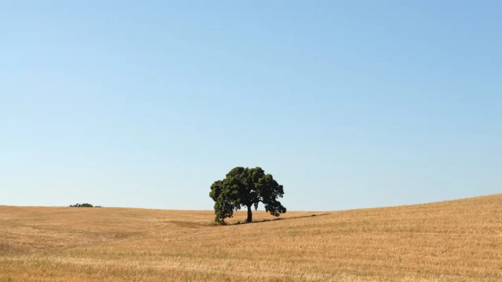 Tesouros Escondidos de Portugal - Planícies do Alentejo