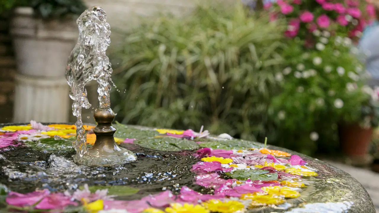 como criar um espaço terapêutico