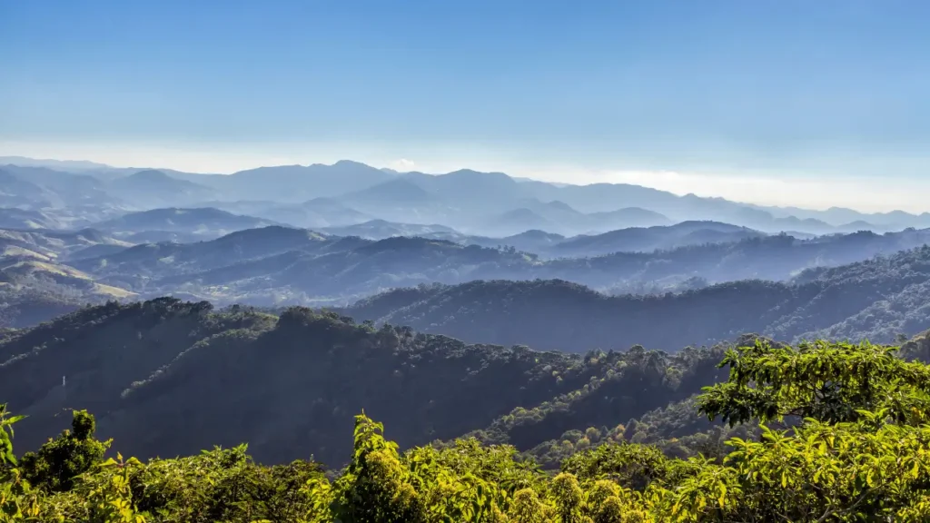 Festival de Inverno campos do Jordão 