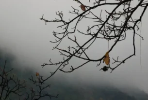 roteiro 3 dias campos do jordão