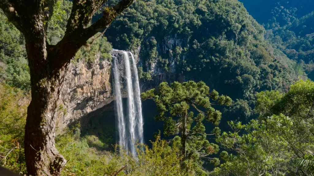gramado e canela no inverno3