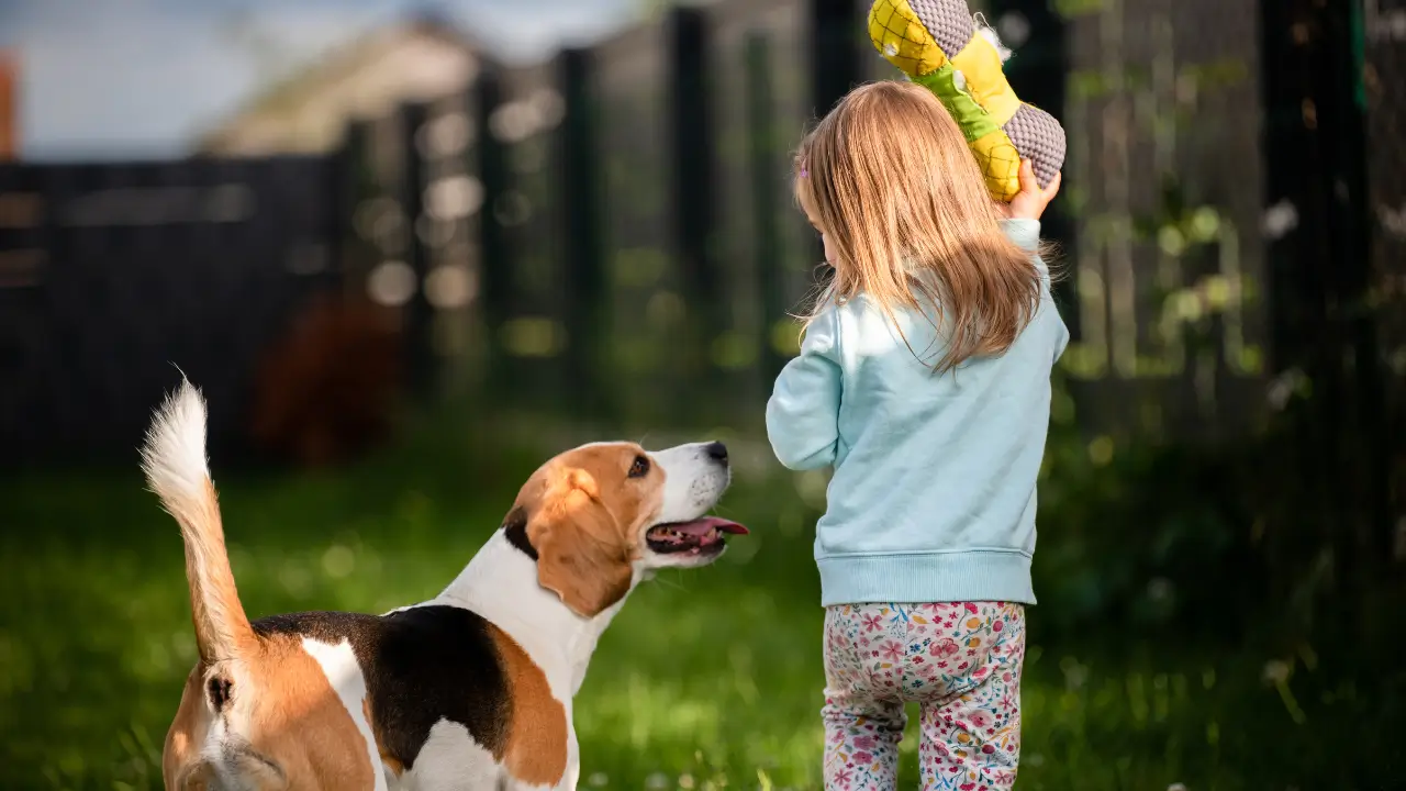 Ritual de 7 Minutos que Acalma Pets