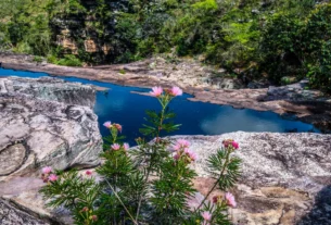 chapada diamantina