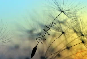 mindefulness ansiedade