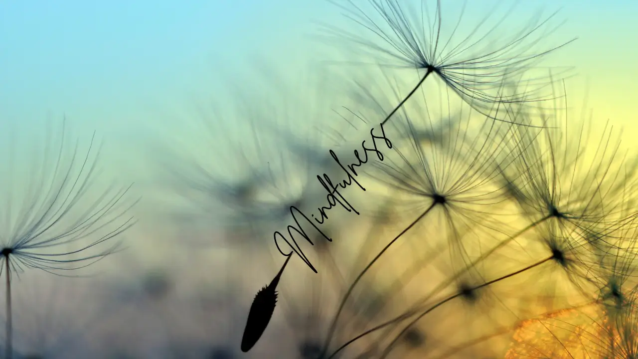 mindefulness ansiedade