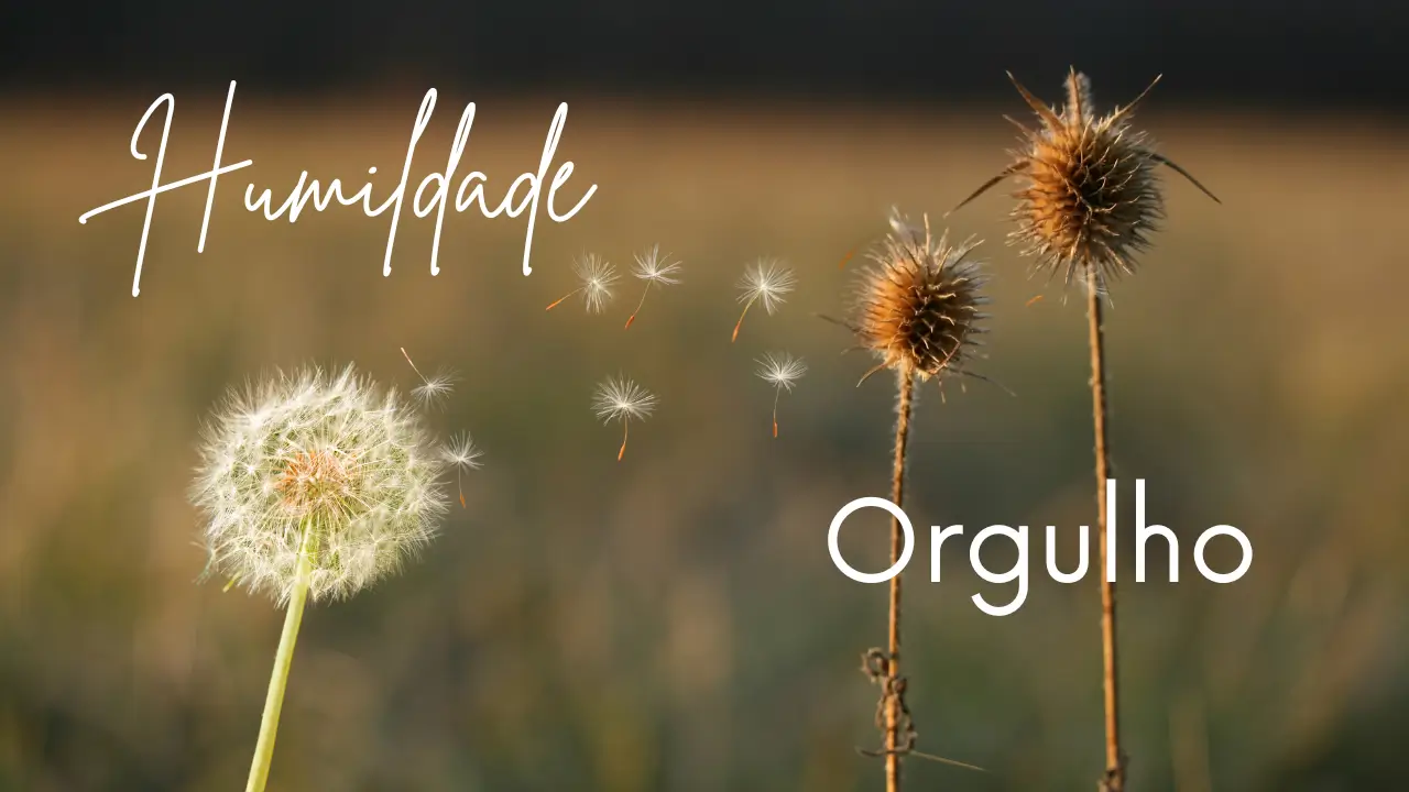 orgulho e humildade