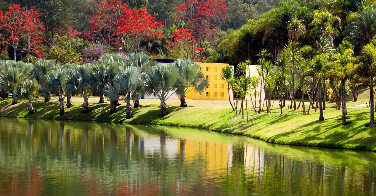 Inhotim guia de visita