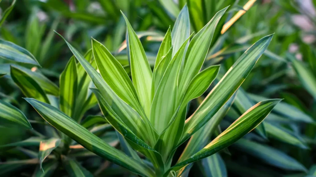 Plantas Purificadoras de Ar para Ambientes Pequenos