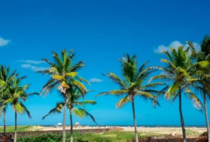 como chegar a Aracaju