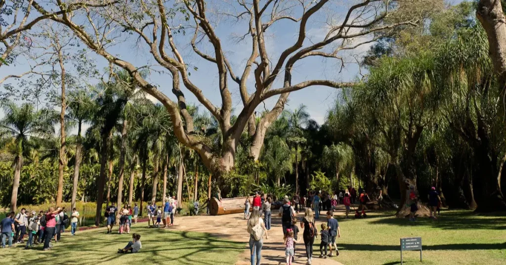 Inhotim Brumadinho dicas