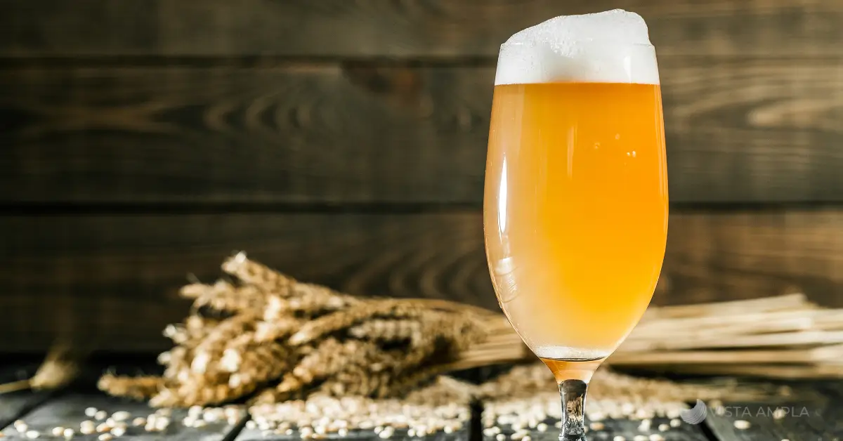 Festival Oktoberaba 2025 no Parque Fernando Costa em Uberaba, marco do movimento “Do Boom da Oktoberaba à Venda 24h” no mercado cervejeiro.