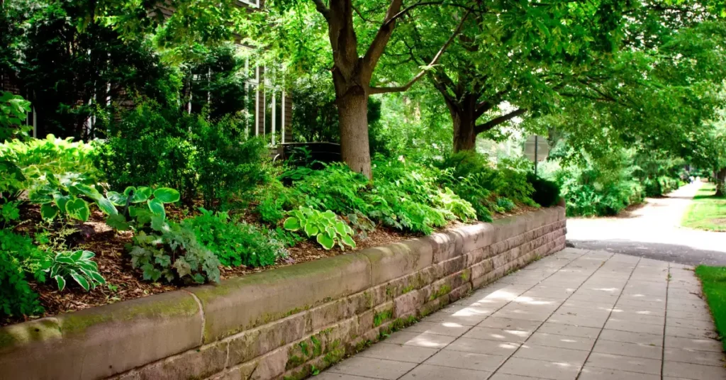 fotos incríveis em viagens