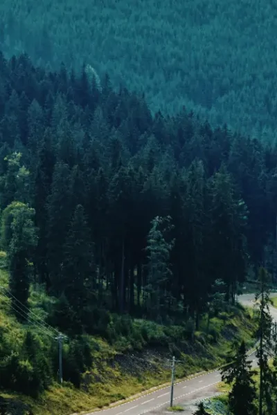 Viajar para descansar a mente - funciona mesmo?