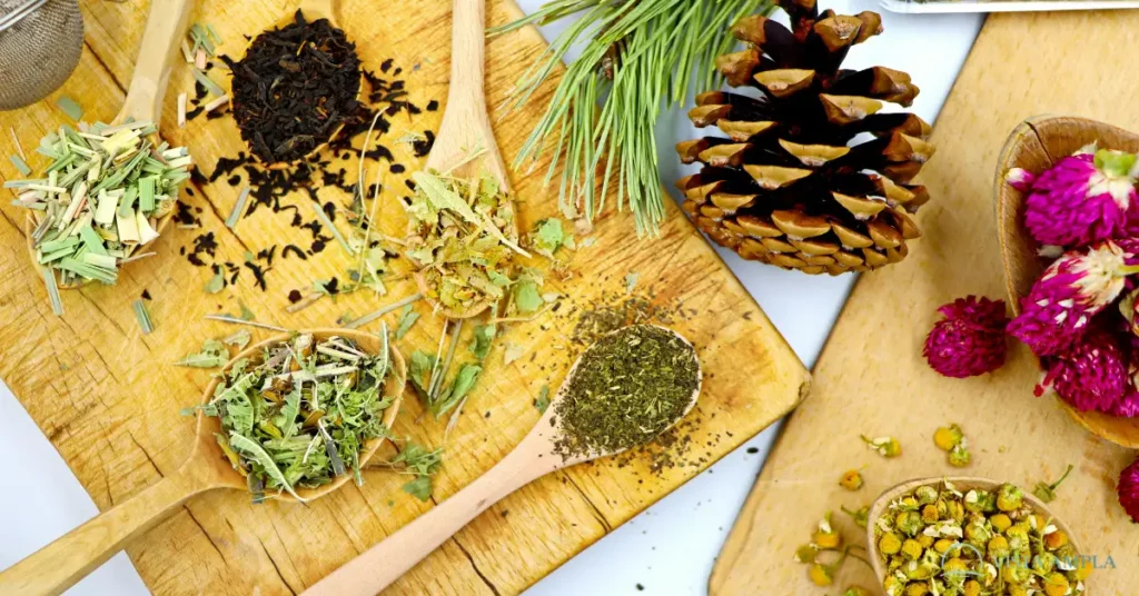 riituais para a mente