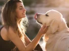 Quando Você Acaricia Seu Cachorro