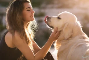 Quando Você Acaricia Seu Cachorro