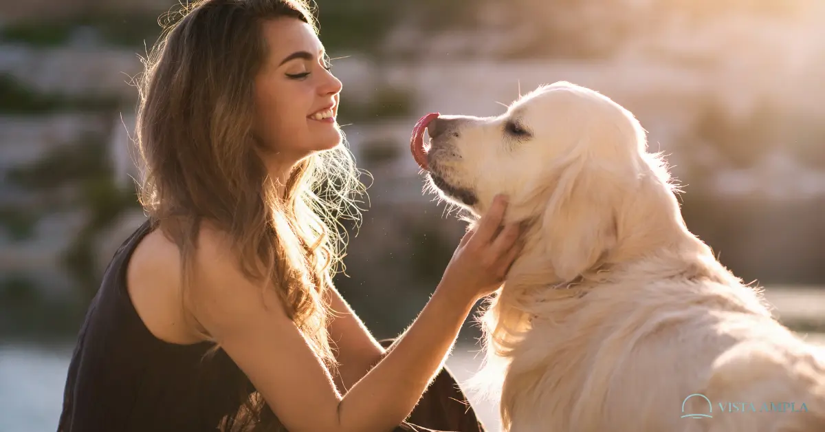 Quando Você Acaricia Seu Cachorro
