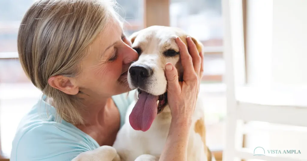 Quando Você Acaricia Seu Cachorro