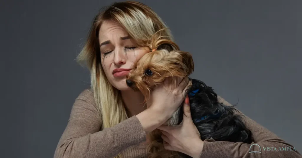 Quando Você Acaricia Seu Cachorro