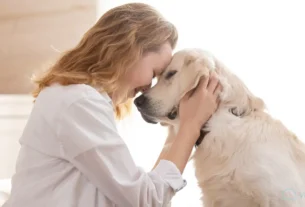 Seu Cachorro vive no presente2