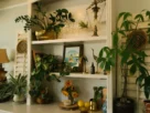 Plantas Ajudam no Bem-Estar