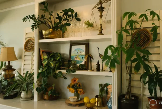 Plantas Ajudam no Bem-Estar