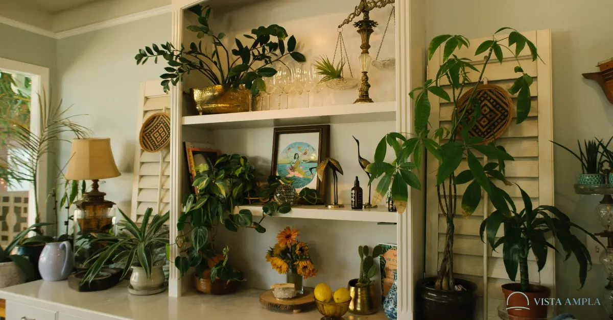 Plantas Ajudam no Bem-Estar